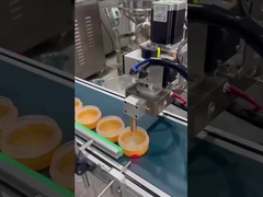 Автоматическая машина для заполнения макияжа SUS304