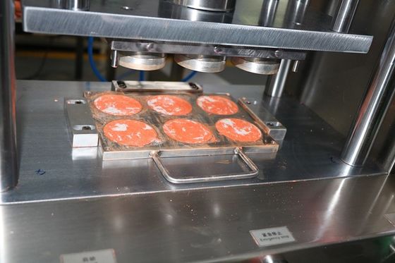 6 отверстий Cnc алюминиевые формы для формы влажного порошка 1 год гарантии